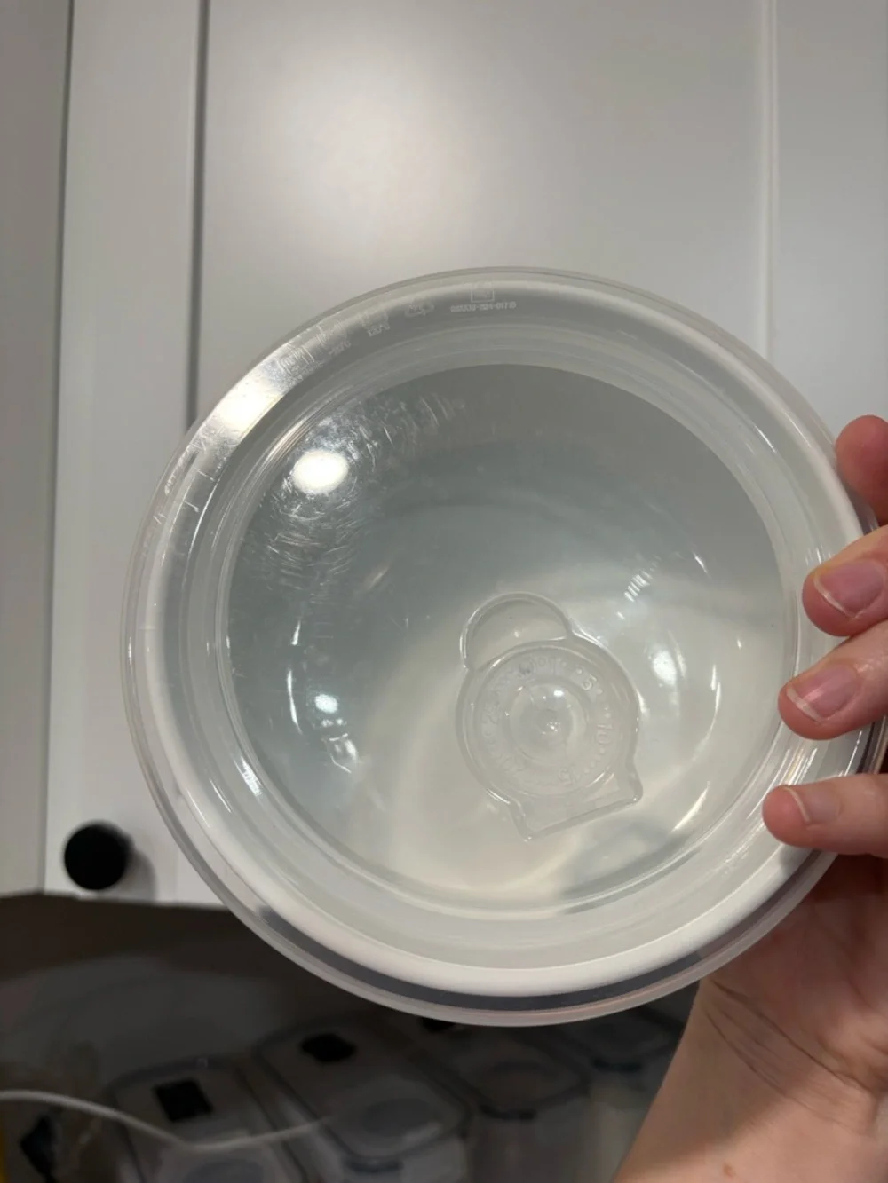 NEW Disney's Winnie the Pooh Holiday bowls with Lids